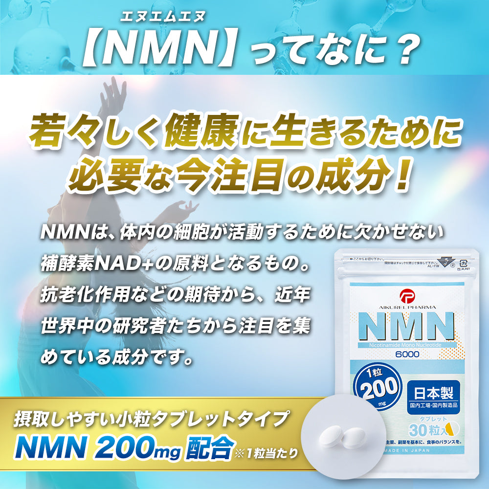 【未使用、美品】アライくん、5個セット つり具の上州屋 - あなたのフィッシング＆アウトドアライフをサポート